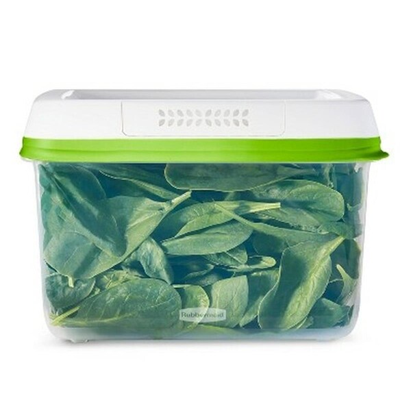 Deluxdesigns 18.1 Cup Food Produce Saver, Green - Large - DE2669951