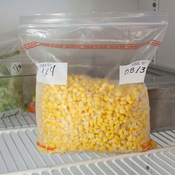 Zipgards 2.7 Mil Low Density Clear Resealable gal. Size Freezer Bag, PK200 - 304985463