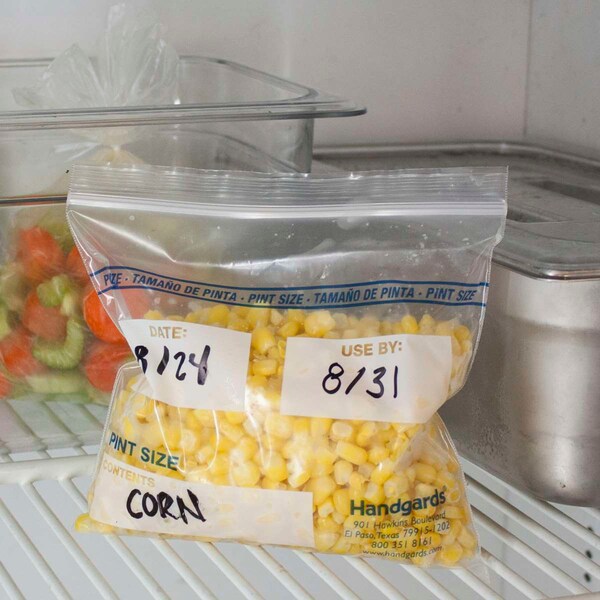 Zipgards Zipgard Freezer Bag Pint Zg6, PK500 - 304985461