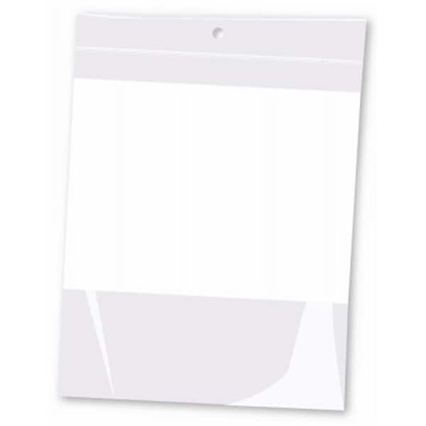 Centurion Medical Products Centurion 246882 6 x 8 in. 2 Mil Zip Lock Type Plastic Bag with Hang Hole - 246882