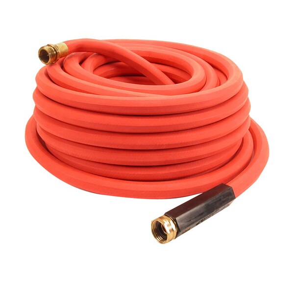 Allpoints Hose-Hot Water, 3/4 X 50Ft - 8011191