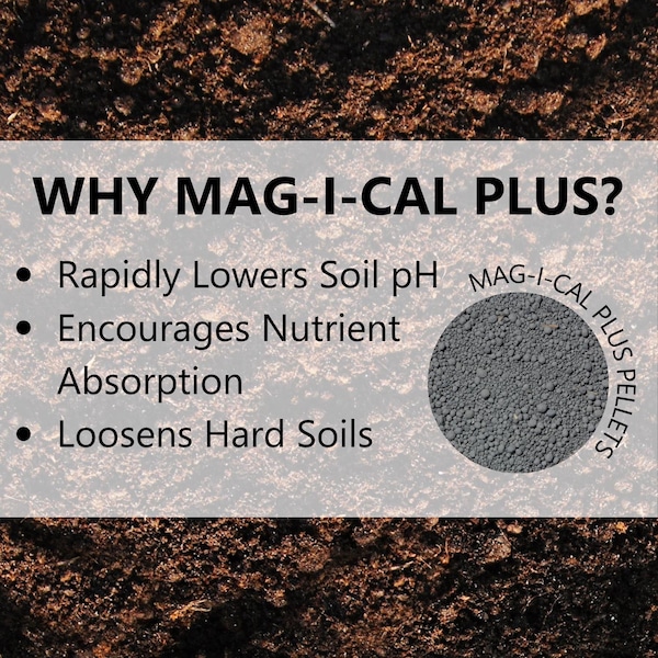 Jonathon Green Jonathan Green Mag-I-Cal Plus for Lawns in Alkaline and Hard Soil Annual Program Lawn Conditioner Fo - 11356