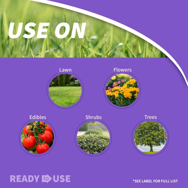 Bonide Products Bonide Eight Vegetable, Fruit & Flower Insect Killer Liquid Concentrate 32 oz - 443