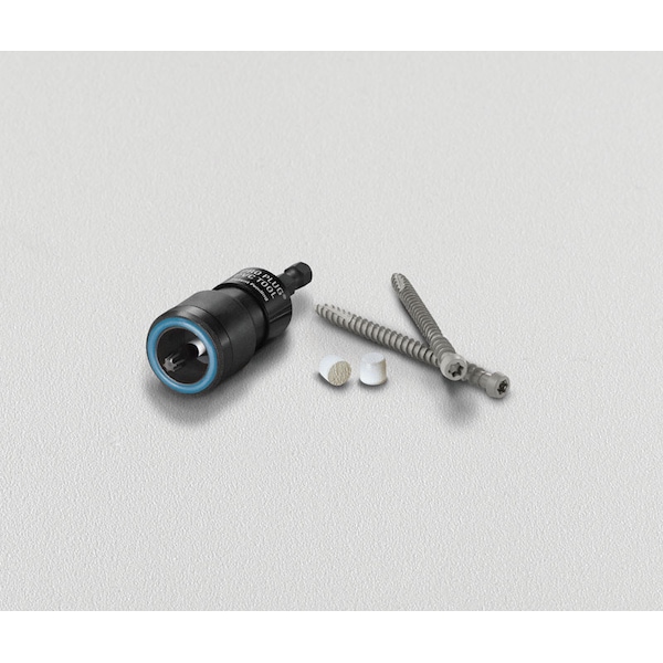 Starborn Starborn Pro Plug No. 10 X 2-3/4 in. L Star Trim Head Deck Screws and Plugs Kit 1 pk - PXTC400L275