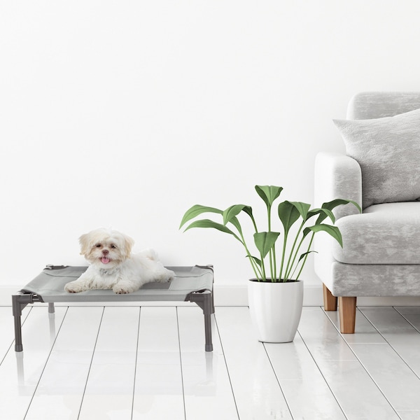 Pet Adobe Elevated Pet Bed, Portable Raised Cot-Style with Non-Slip Feet, 24.5"x 18.5"x 7" for Pets (Gray) - 194304ISR