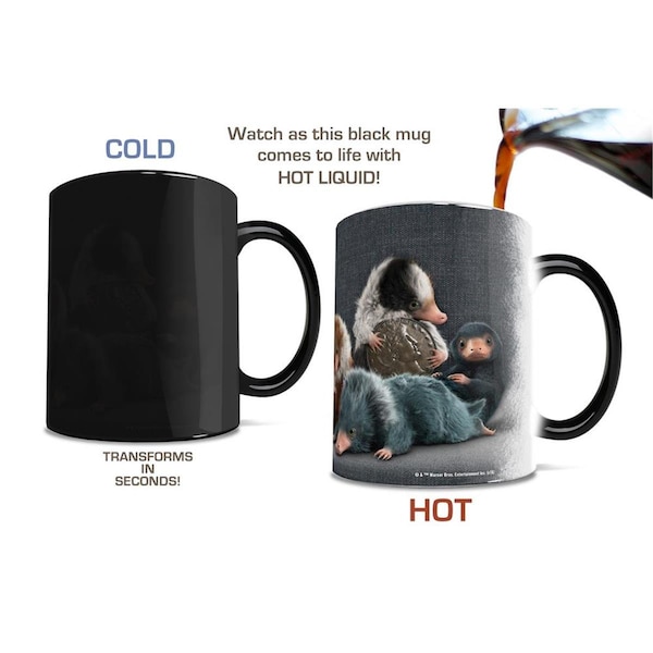 Trend Setters Fantastic Beasts 2 Coin Thief Morphing Heat-Sensitive Mug 11 oz - MMUG864