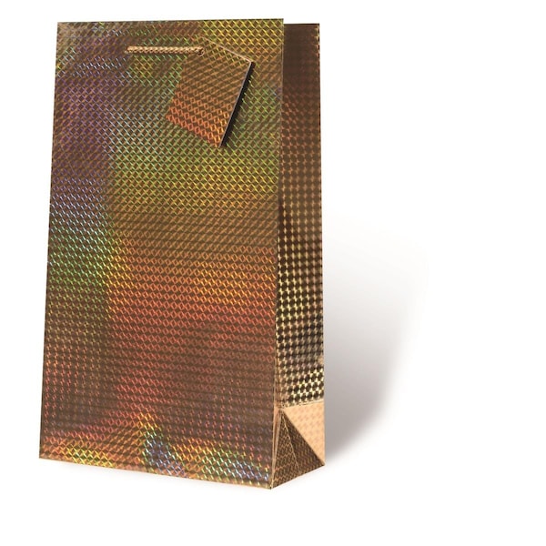 Wrap-Art 2-Bottle Gold Foil Printed paper Bag with Plastic Rope Handle - 17772