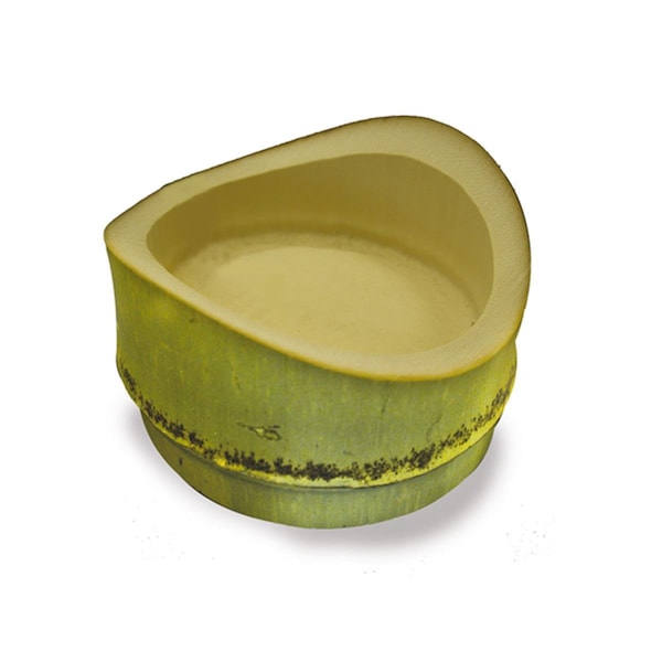 Packnwood Tamago Oblique Bamboo Cut Tube - 1.5 Oz., 200PK - 209BBTAMAGO
