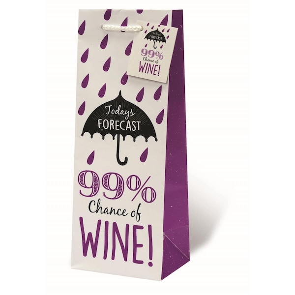 Wrap-Art Todays Forecast Printed paper Bag with Plastic Rope Handle - 18010