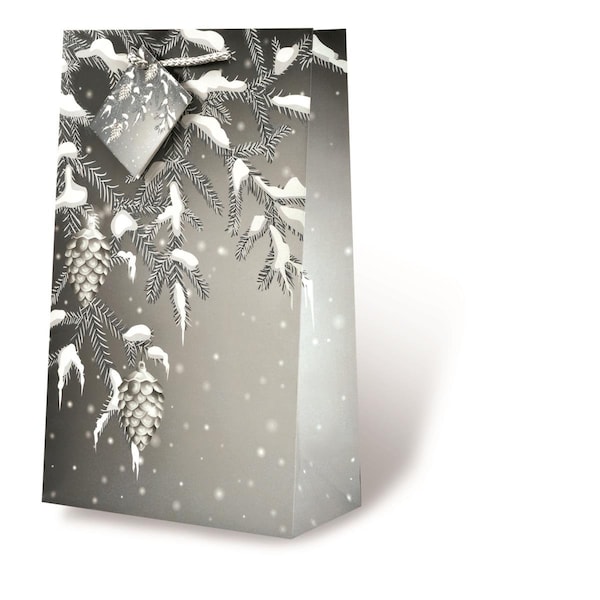 Wrap-Art 2-Bottle Snow Cones Printed paper Bag with Plastic Rope Handle - 17617