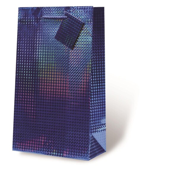 Wrap-Art 2-Bottle Blue Foil Printed paper Bag with Plastic Rope Handle - 17773