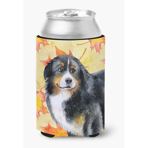 Carolines Treasures Bernese Mountain Dog Fall Can or Bottle Hugger - BB9906CC