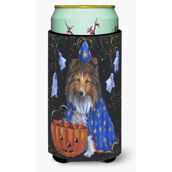 Carolines Treasures 22-24 oz Sheltie Halloween Witch Tall Boy Hugger - PPP3186TBC