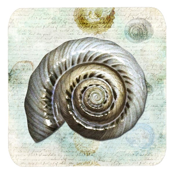 Carolines Treasures Shells Foam Coasters - Set of 4 - SB3033FC