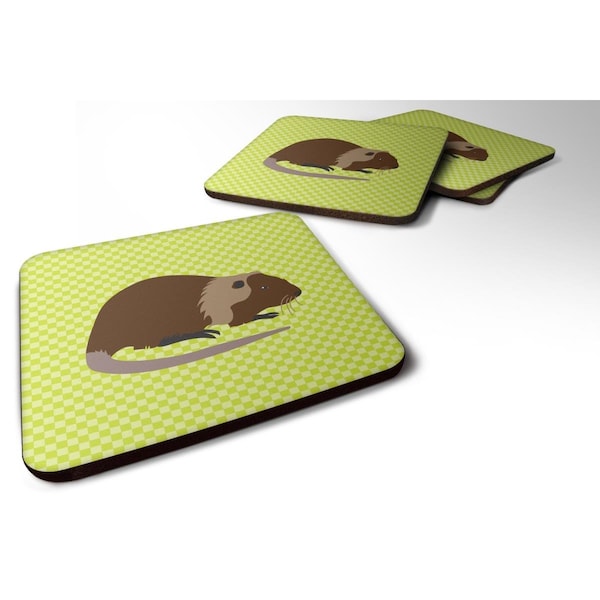 Carolines Treasures Coypu Nutria River Rat Green Foam Coaster, Set of 4 - BB7705FC