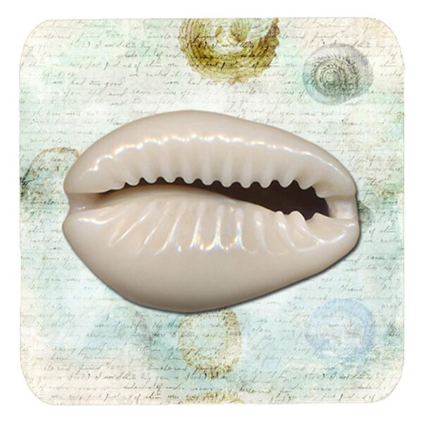 Carolines Treasures Shells Foam Coasters - Set of 4- 3.5 x 3.5 In. - SB3038FC