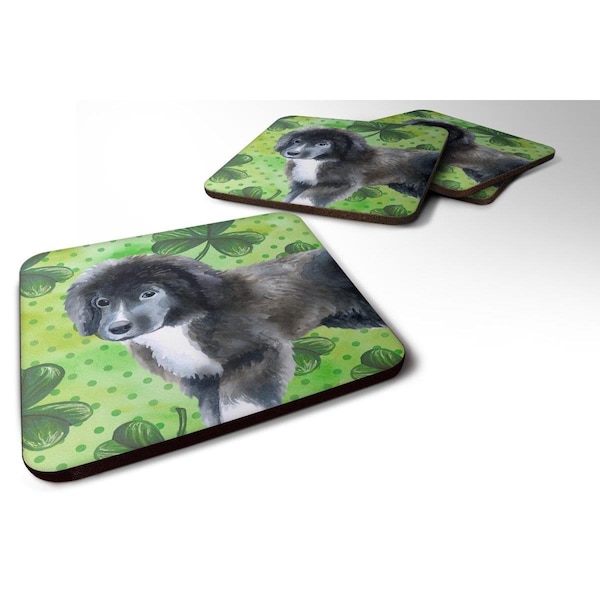Carolines Treasures Newfoundland Puppy St.Patricks Foam Coaster, 3.5 x 3.5 in., 4PK - BB9873FC