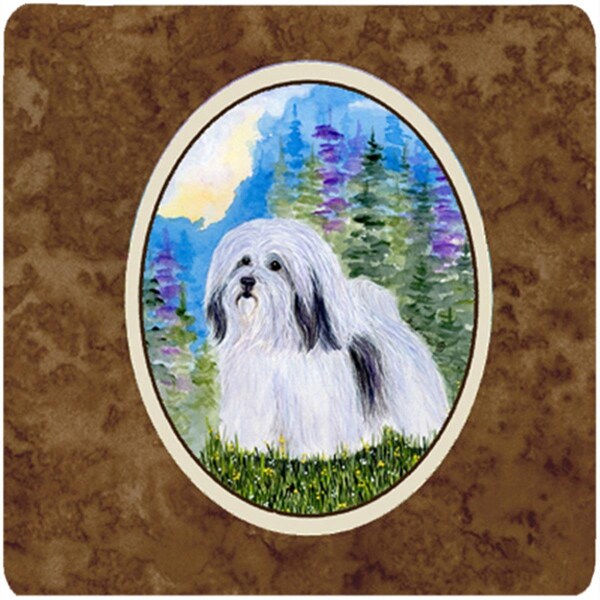 Carolines Treasures Havanese Foam Coasters- Set of 4 - SS1034FC