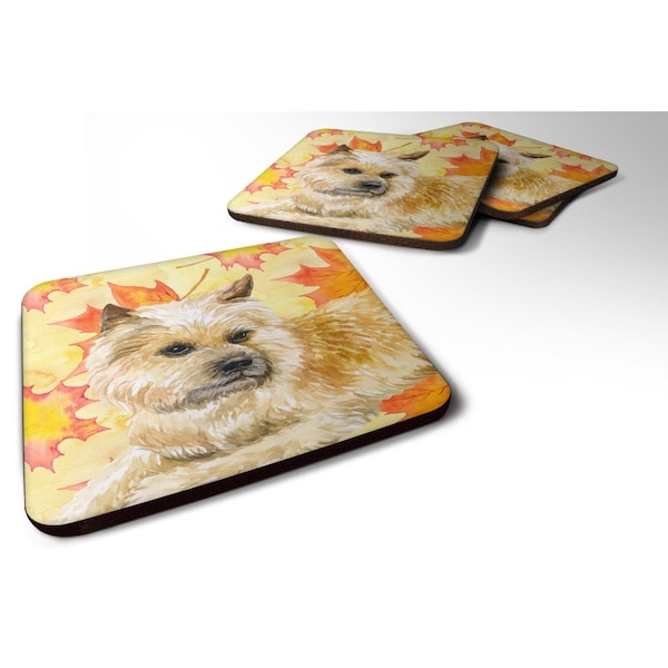 Carolines Treasures Cairn Terrier Fall Foam Coaster, 3.5 x 3.5 in. - Set of 4 - BB9951FC