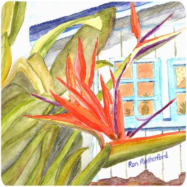 Carolines Treasures Carolines Treasures RDR2005FC Flower - Bird Of Paradise Foam Coasters - Set 4 - RDR2005FC