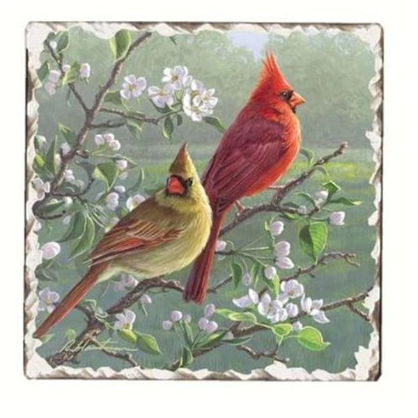 Counterart Counter Art CART11182 Cardinals Number 1 Single Tumbled Tile Coaster - CART11182