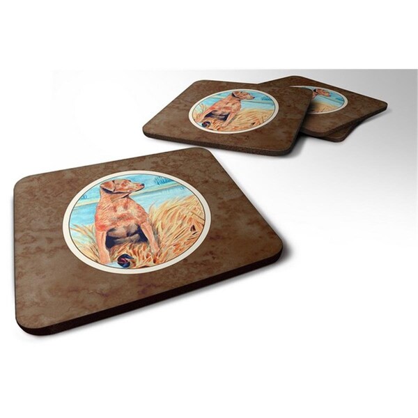 Carolines Treasures Chesapeake Bay Retriever Foam Coaster, Set of 4 - 7112FC