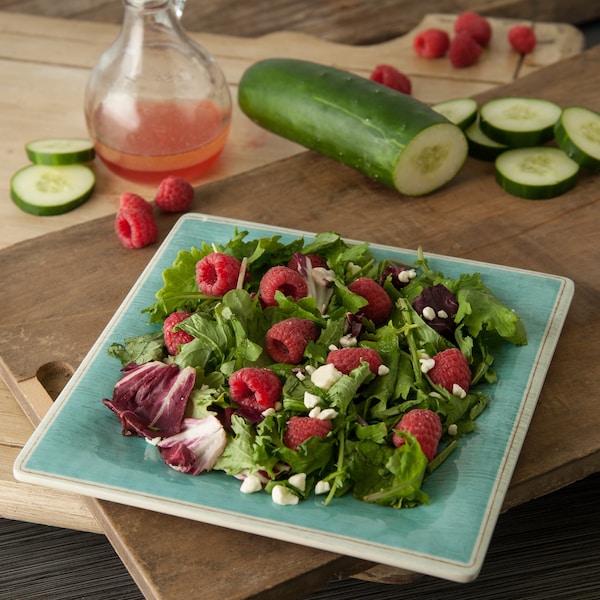 Carlisle Foodservice Melamine Square Salad Plate, 8.5", Aq, PK12 - 6402315