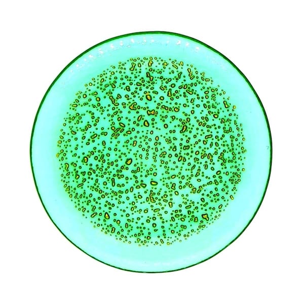 Red Pomegranate Collection 7 in. Isla Canape Plates, Emerald & Gold - Set of 4 - 4960-6