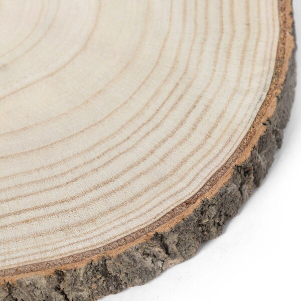 Vintiquewise Barky Natural Wood Slabs Rustic Ornament Slice Tray Table Charger 12 set of 4 - QI003847-12.4