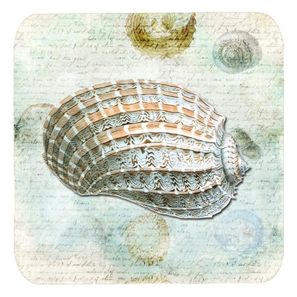 Carolines Treasures Shells Foam Coasters - Set of 4- 3.5 x 3.5 In. - SB3029FC