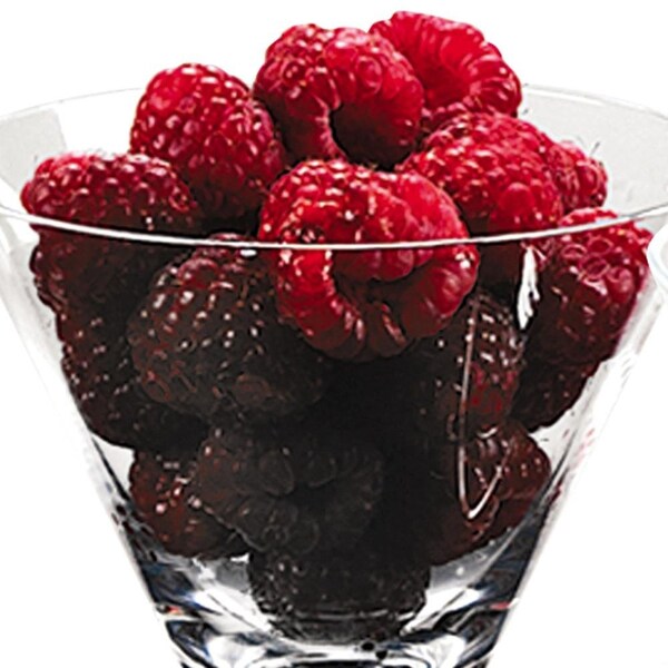 Homeroots 6 oz 6 oz Mouth Blown Crystal Martini or Dessert Servers, Set of 4 - 375718