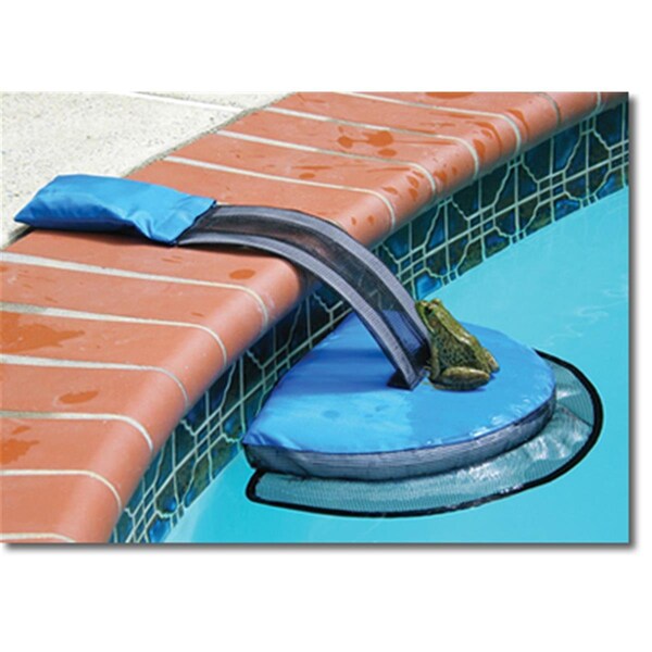 Olympian Athlete Pool Critter Escape Ramp - OL2119130