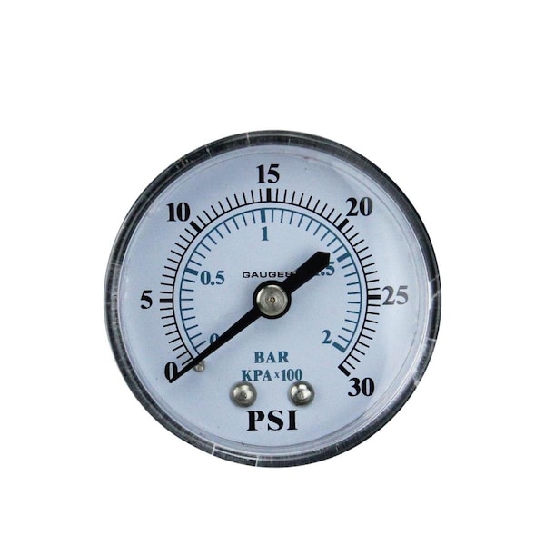 Pool Central 2 in. Back Mount Plastic Cover Pressure Gauge 0-30 PSI - 32727585