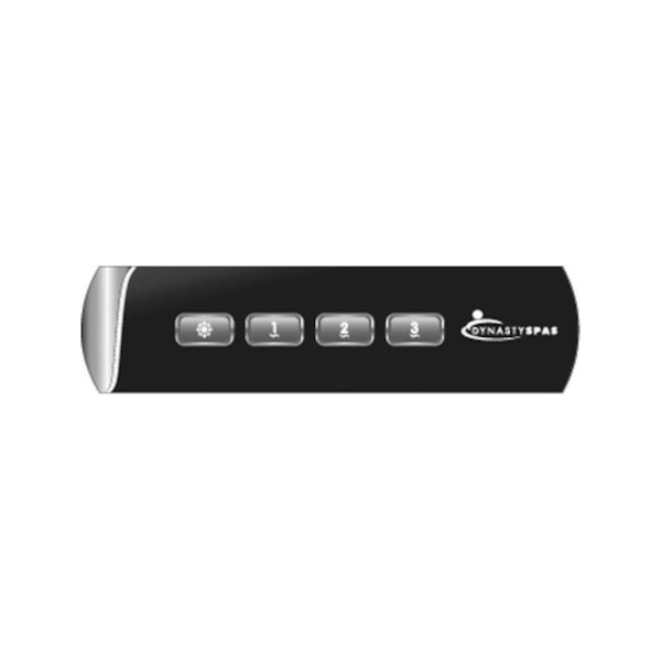 Dynasty Exclusive K-100 In XM Logo 2010 Overlay - 14145