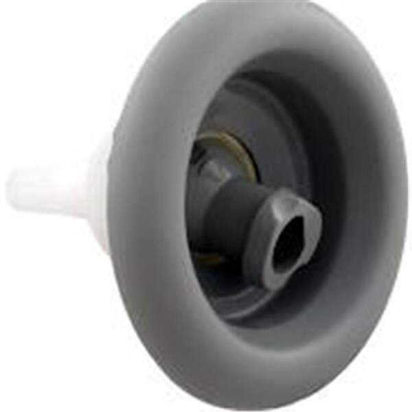 Balboa Water Group 5 in. Face Pentair Cyclone Textured Jet Internal, Adjustable Swirl - Light Gray - 978381