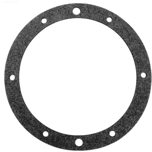 Pac Fab American Pac-Fab American 79204600 Vinyl Gasket Replacement Spa Brite - 383162_EA