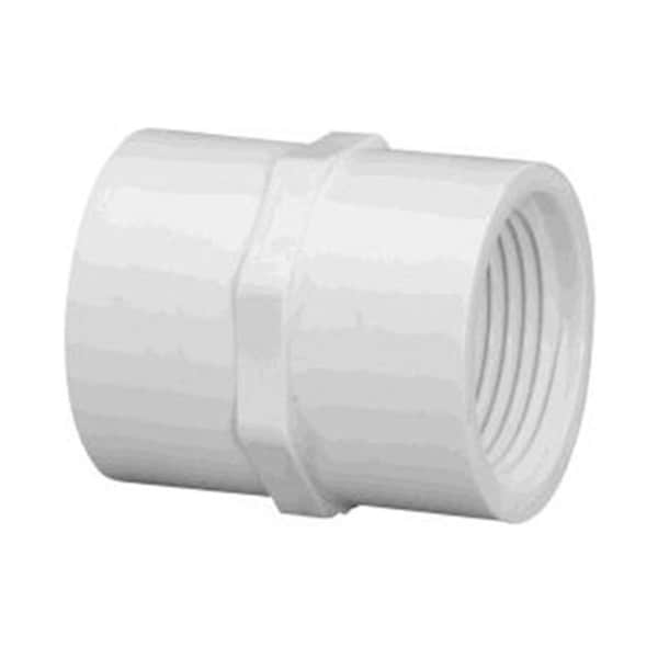 Westlake Pipe & Fittings 0.75 in. FPT Coupling Schedule 40 - PV430007