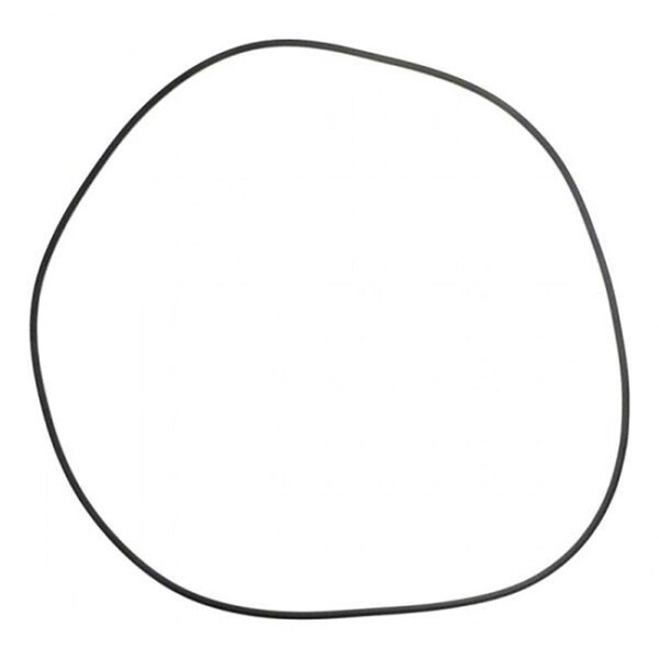 Whole-In-One Swimquip 24 in. Tank O-Ring - WH196457