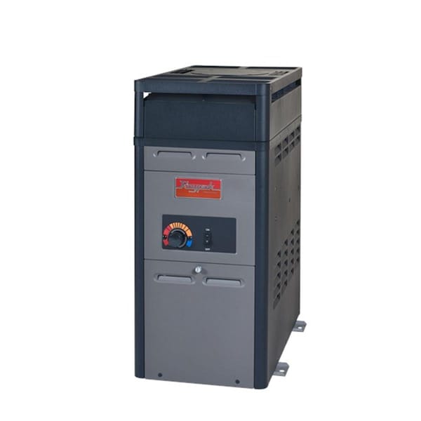 Raypak Analog Control Electronic Ignition Propane Gas Heater with Polymer Headers for P-R106A-AP-C - 14781