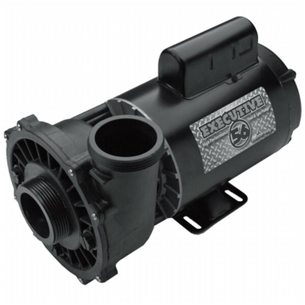 Gecko Alliance 3721221-13 Pump Executive 240V, 3.0 HP 2 Speed 56 Frame - WW372122113