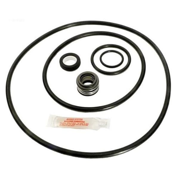 Aladdin Equipment Aladdin Equipment GOKIT79 Sta Rite Max E-Pro Go Kit - GOKIT79