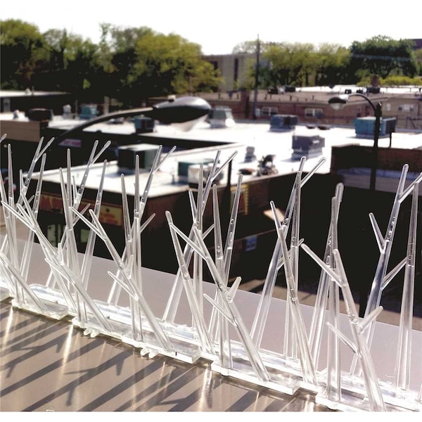 Bird-X 25 ft. Original Plastic Bird Spikes Coverage Pigeon Bird Repellent - SP-25