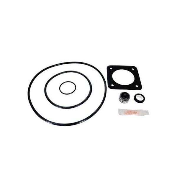 Aladdin Equipment Aladdin Equipment GOKIT54 Sta Rite Repair Seal Kit - GOKIT54