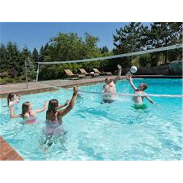 Powerplay Swim N Spike Volleyball Uprights only Sealed Steel, Black - PO2546328