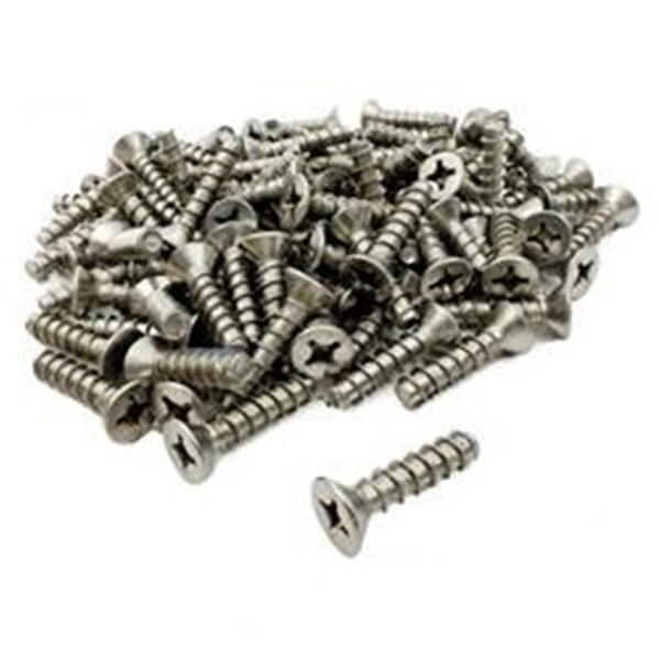 Bnb-Pt Stainless Steel Skimmer Screws, 100PK - APCSKIM