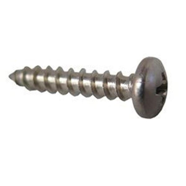 Hard Top 10-12 x 2 in. PML Stainless Steel Pump Housing Screw - HA1188626