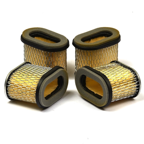 Briggs & Stratton Air Filter (4 of 692446) - 4224