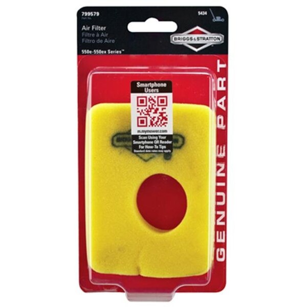Briggs & Stratton Briggs & Stratton 5434K Air Filter Cartridge - 163669