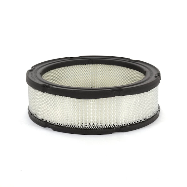 Briggs & Stratton Air Filter  (5 of 394018S) - 4135