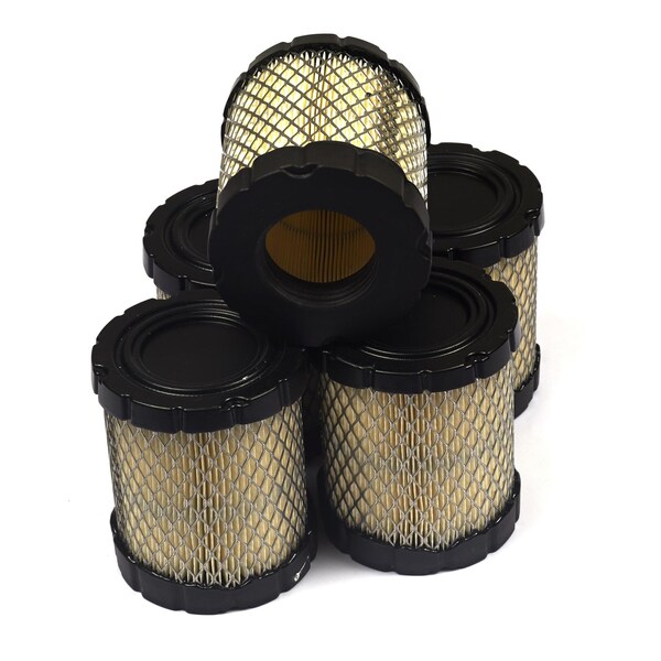 Briggs & Stratton Air Filter (5 of 798897) - 4250